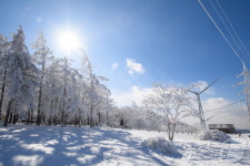 정선군, 3월9일까지 고한읍 만항재 질서유지사업