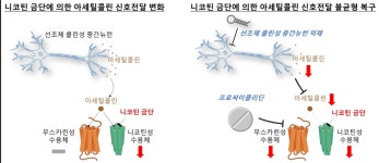 올해는 금연 쉬워지나…국내 연구진 담배 금단증상 기전 규명
