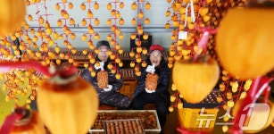 쫄깃한 함양곶감 납시오