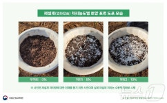 이팝나무·왕벚나무·은행나무 등 가로수 제설제 피해 주의를