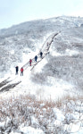 겨울왕국 된 지리산 노고단
