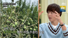 송중기, 올리브오일 이탈리아 집에서 직접 추출 "일년 내내 따뜻"