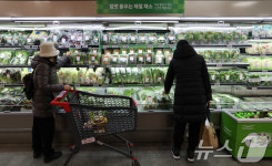 설 명절 앞두고 과일·채소 값 급등, 물가 잡기 나선 정부