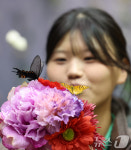 미리 만나는 나비