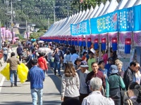 2025년 청주 다채로운 축제로 물든다…미식·호러·EDM 풍성