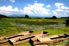 창녕 우포늪 2025~2026 한국관광 100선 선정