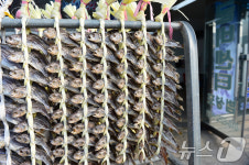 굴비만 덜렁 있는 굴비거리