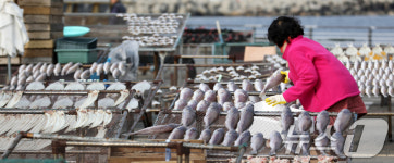 제수용 생선 건조하는 어민들