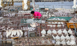 설 연휴 앞둔 어촌