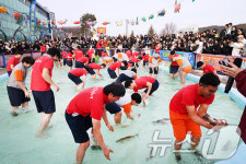 대관령눈꽃·평창송어·화천산천어…강원은 겨울축제 중