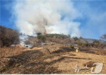 전남 장성 야산서 화재…1시간 48분 만에 완진