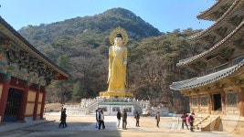속리산국립공원 문화재관람료 폐지 덕 탐방객 늘었다