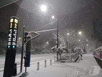 곡성 옥과 17.9㎝ 적설…전남 5개 도로 통제