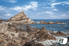 우리나라  국가등록생물 6만1230종 기록…1년새 1220종 증가