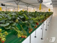 스마트농장에서 힐링하세요…서울시, 2월부터 치유농업 운영