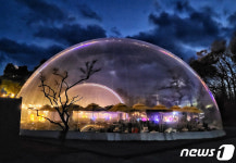 강진청자축제 22일 팡파르…물레성형·태토밟기 등 프로그램