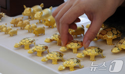 금값 고공행진에 투자자 몰린 한국금거래소 홈페이지 마비