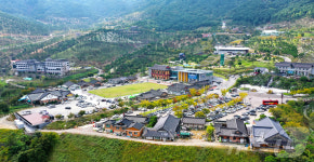 네이버 검색 결과 사진 5