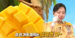 신세계라이브쇼핑, 태국 망고 판매…현지서도 먹기 힘든 최고급