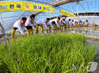 이천시 안평리 뜰서 임금님표 이천쌀 전국 첫 모내기