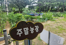 대구공공시설공단, 주말농장 무상 분양…3월2일까지 접수