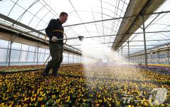 봄 거리를 장식할 알록달록 꽃들