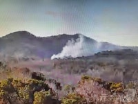 공주 탄천면서 산불…38분 만에 진화