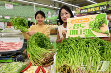 농협유통 청도 미나리 맛보세요