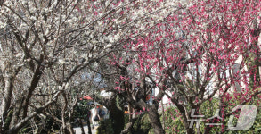 [오늘의 날씨] 제주(21일, 금)…구름 많음·아침 최저 1~2도