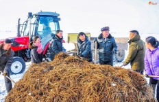 北, 농업 증산 위한 지력개선사업 강조…모든 땅을 옥토로