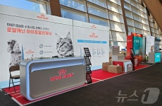 반려동물 지방간 진단·치료 어떻게…영양 균형 맞춘 식이 중요