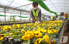 봄 기운, 같이 나눠요