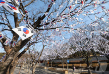 3.1절 앞두고 조성된 효창공원 태극기 거리