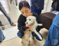 이빨이 다 갈렸어도…사람이 좋은 순둥이 메이[가족의발견(犬)]