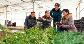 北 태천군 산림영업소 나무모 비배관리 과학화 수준 향상 위한 토의 심화