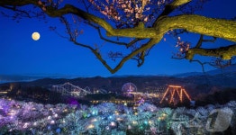 천년의 매화정원·은행나무숲 자유 관람 에버랜드 가든패스 출시