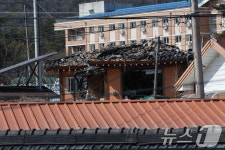 오발탄 맞은 민가 마른 하늘에 날벼락