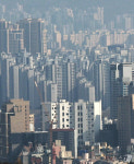 메이져비동 사진 1