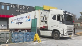 국산 계란 첫 미국 수출…아산 계림농장 특란 20톤 미국행