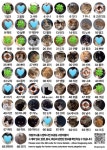 골든타임 17시간에 달린 35마리 생명…보광동 고양이를 지키는 사람들