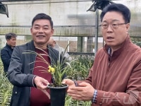 춘란 산업화 나선 화순군, 부자농촌‧고령화·수출 타깃