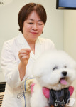 침 치료하는 신사경 VIP동물한방재활센터 원장