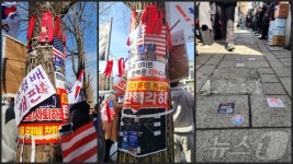 헌재 앞 돗자리 펴고 무단 점거…도로·가로수엔 유인물 덕지덕지