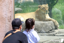 좁은 우리 대신 자연형 방사장…서울어린이대공원 동물원 싹 바뀐다