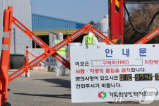 [르포]소 162마리 모두 살처분이라니…구제역 영암 농장주 눈물