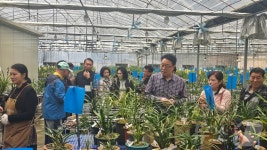 폐광으로 침체된 지역경제, 한국춘란에서 활로 찾는다