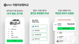 네이버페이·토스, 자동차보험 비교·추천 2.0 출시…車보험료 한눈에