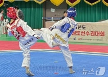 전국 종별태권도선수권대회 영천체육관 등서 27일까지 열전