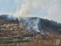 광양 옥곡면서 산불 1시간51분 만에 진화…임야 0.1㏊ 소실