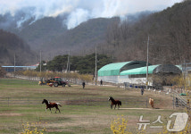 건조한 날씨 속 태풍급 바람까지…의성 산불 진화 난항